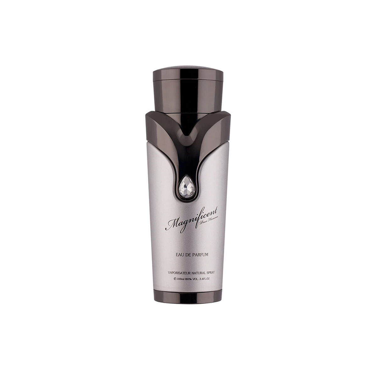 Ανδρικό Άρωμα Armaf EDP Magnificent 100 ml